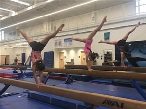 gymnastics beams