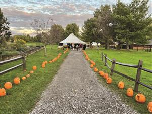 Halloween Tent at Tinker 